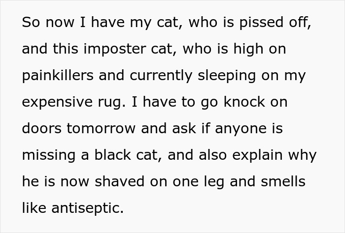 Woman Spends $430 On Injured Cat, Only To Realize Later It’s A Look-Alike Imposter, Not Her Pet