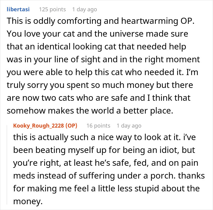 Woman Spends $430 On Injured Cat, Only To Realize Later It’s A Look-Alike Imposter, Not Her Pet