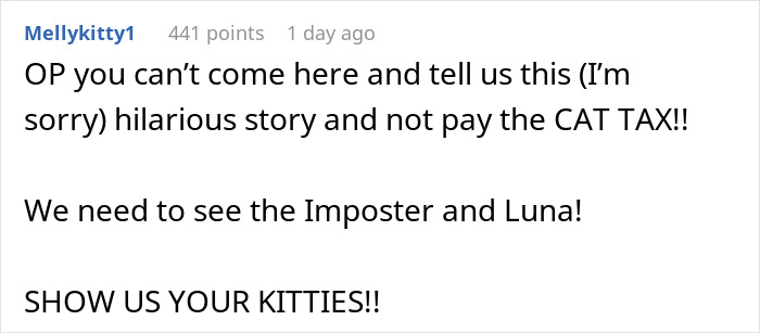 Woman Spends $430 On Injured Cat, Only To Realize Later It’s A Look-Alike Imposter, Not Her Pet