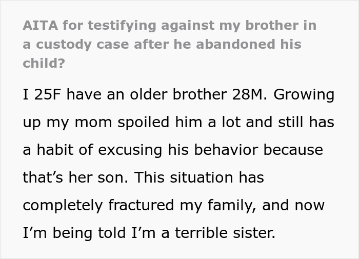 Sis Tells Custody Court Judge The Truth About Bro Who Abandoned His Kid, Fam Drama Ensues