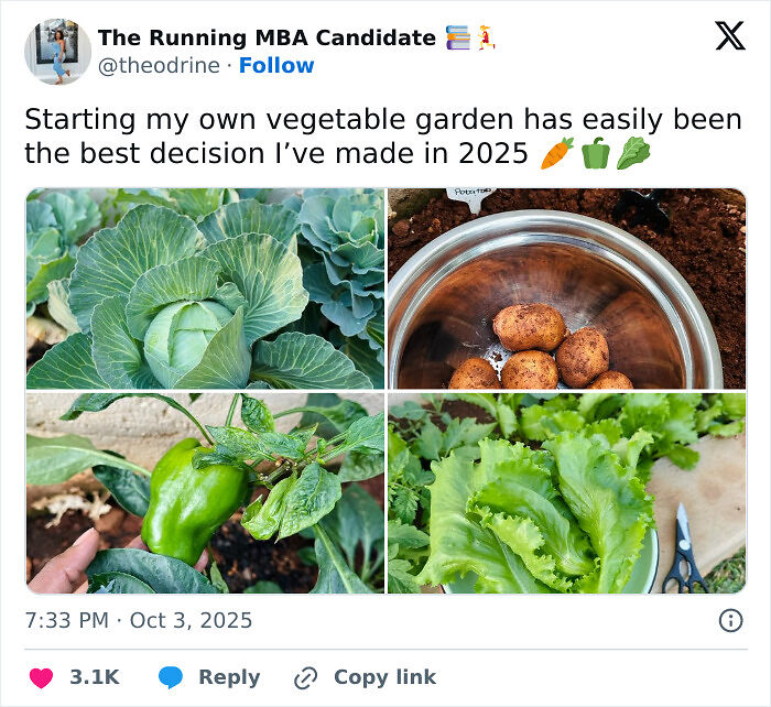 78 Times People Took A Leap Of Faith And Ended Up Making Their Best Life Decisions 78 Times People Took A Leap Of Faith And Ended Up Making Their Best Life Decisions