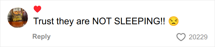 A Family With Three Kids On Vacation Tried To Throw Themselves A Pity Party, Got Roasted Instead