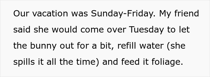 Owner Trusts Bestie With Bunny Care, She Goes MIA Entire Vacation, Texts Only After Damage Is Done