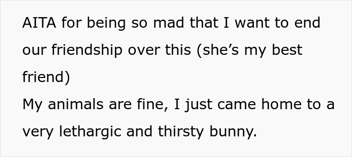 Owner Trusts Bestie With Bunny Care, She Goes MIA Entire Vacation, Texts Only After Damage Is Done