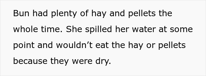 Owner Trusts Bestie With Bunny Care, She Goes MIA Entire Vacation, Texts Only After Damage Is Done