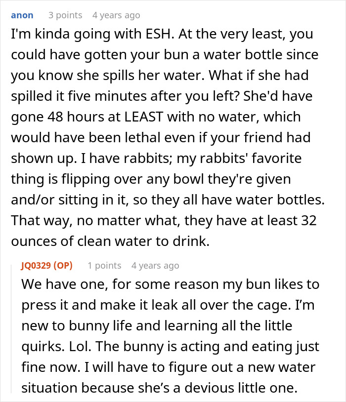 Owner Trusts Bestie With Bunny Care, She Goes MIA Entire Vacation, Texts Only After Damage Is Done