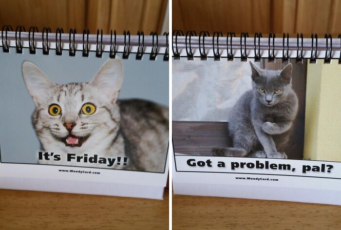 24 White Elephant Ideas For That Coworker You Sort Of Know But Not Really
