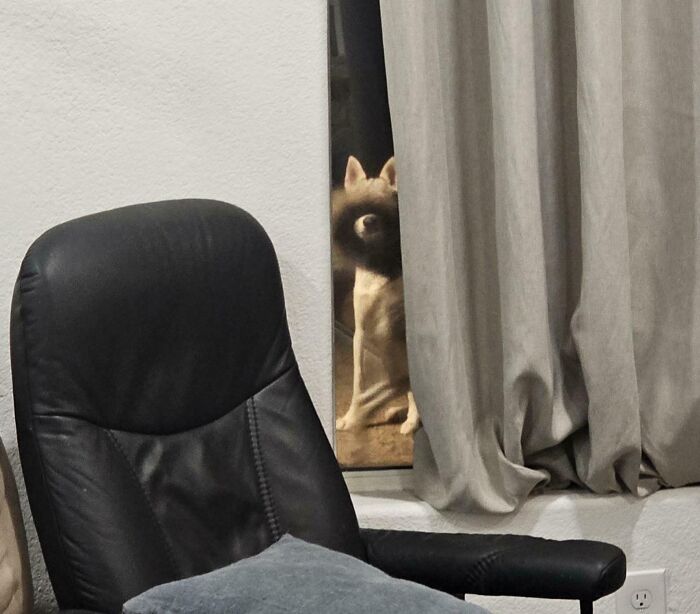 88 Funny, Interesting And Weird Pics That Were Taken At The Perfect Time