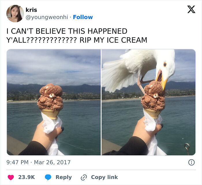 88 Funny, Interesting And Weird Pics That Were Taken At The Perfect Time