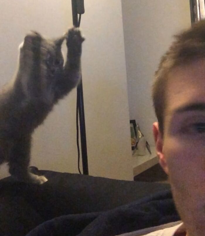 88 Funny, Interesting And Weird Pics That Were Taken At The Perfect Time