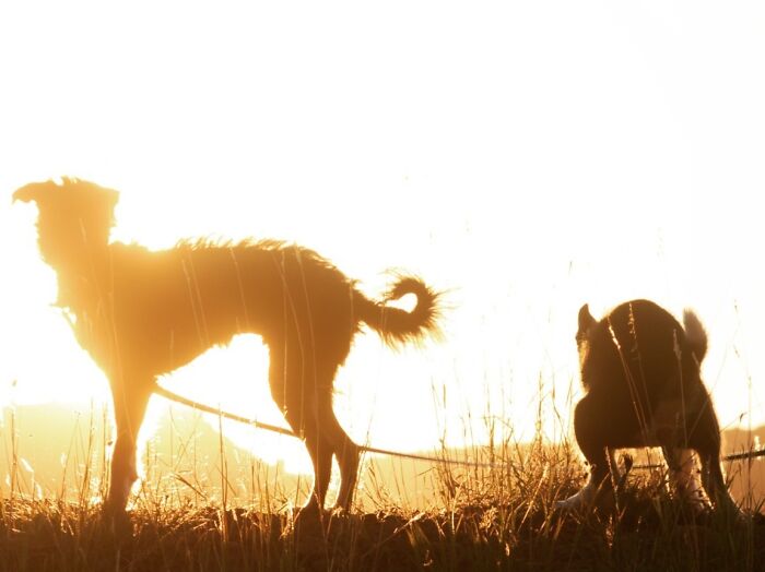 88 Funny, Interesting And Weird Pics That Were Taken At The Perfect Time