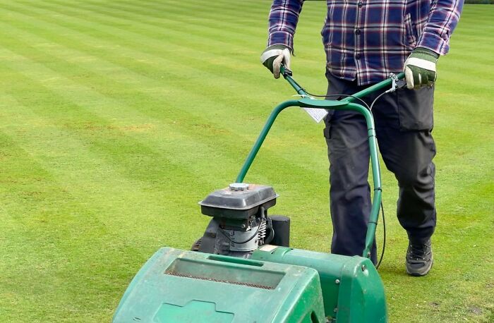 68 True Stories That Sound Completely Made Up But Actually Happened