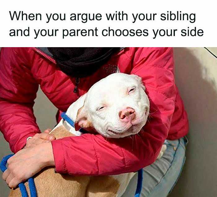 72 Memes That Perfectly Sum Up What It Means To Have Siblings 72 Memes That Perfectly Sum Up What It Means To Have Siblings