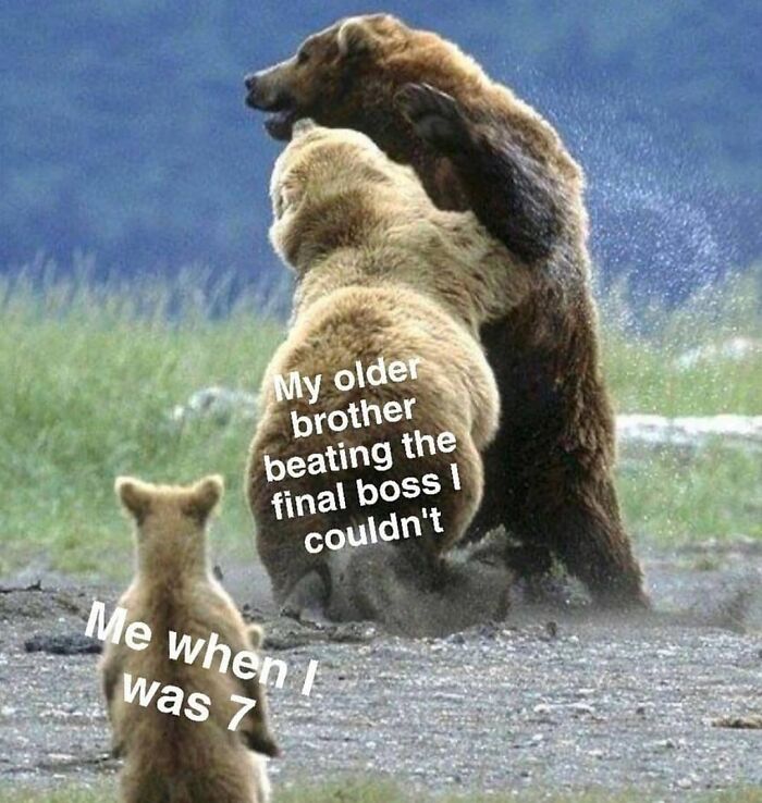 72 Memes That Perfectly Sum Up What It Means To Have Siblings 72 Memes That Perfectly Sum Up What It Means To Have Siblings