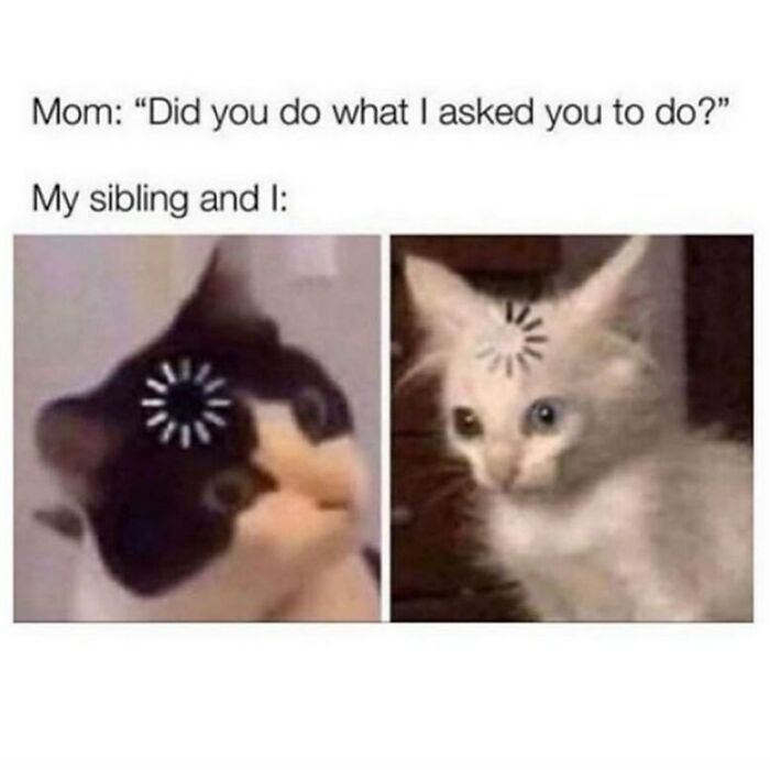 72 Memes That Perfectly Sum Up What It Means To Have Siblings 72 Memes That Perfectly Sum Up What It Means To Have Siblings