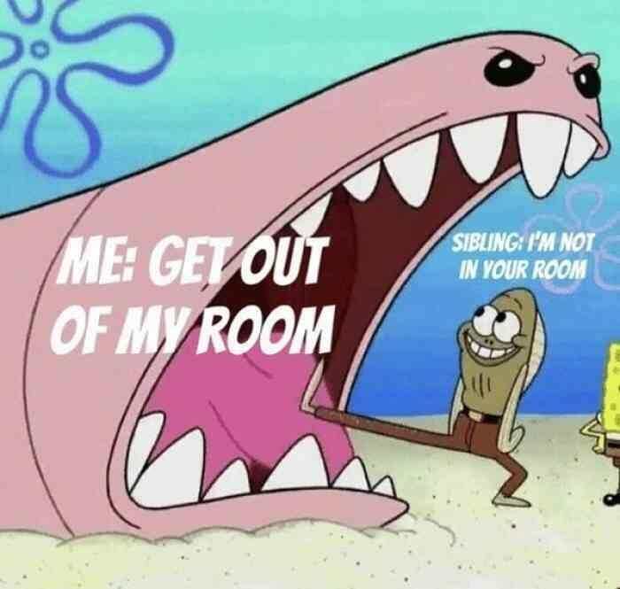 72 Memes That Perfectly Sum Up What It Means To Have Siblings 72 Memes That Perfectly Sum Up What It Means To Have Siblings