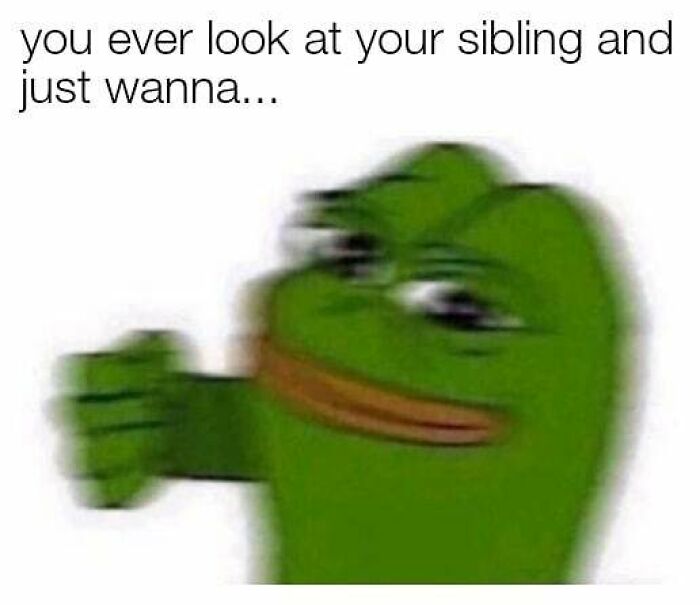 72 Memes That Perfectly Sum Up What It Means To Have Siblings 72 Memes That Perfectly Sum Up What It Means To Have Siblings