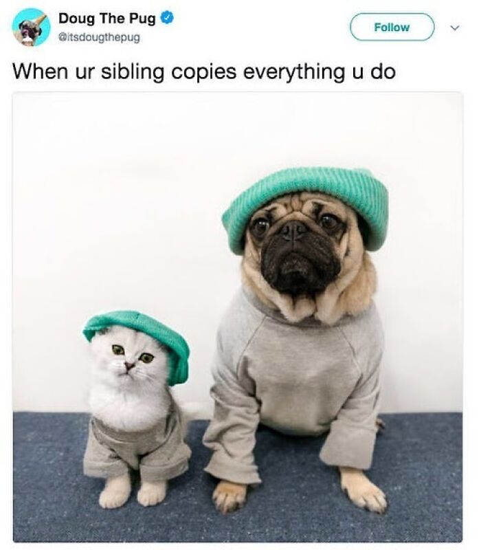 72 Memes That Perfectly Sum Up What It Means To Have Siblings 72 Memes That Perfectly Sum Up What It Means To Have Siblings
