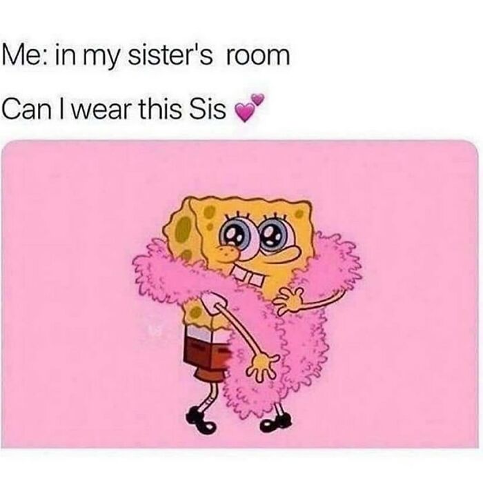 72 Memes That Perfectly Sum Up What It Means To Have Siblings 72 Memes That Perfectly Sum Up What It Means To Have Siblings