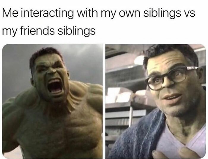 72 Memes That Perfectly Sum Up What It Means To Have Siblings 72 Memes That Perfectly Sum Up What It Means To Have Siblings