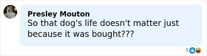 “Painful”: Simone Biles Draws PETA’s Ire After Allegedly Buying Dog With Chopped-Off Ears “Painful”: Simone Biles Draws PETA’s Ire After Allegedly Buying Dog With Chopped-Off Ears