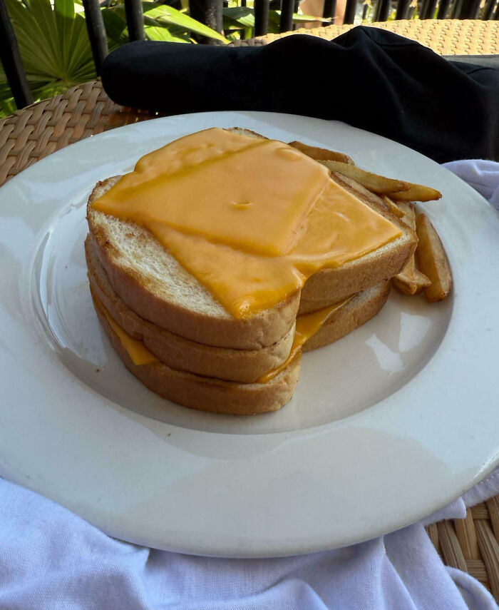 76 Outrageous Meals That Looked Nothing Like The Menu Photos (New Pics)