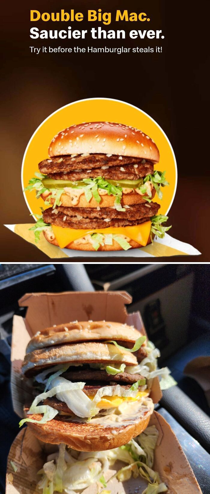 76 Outrageous Meals That Looked Nothing Like The Menu Photos (New Pics)