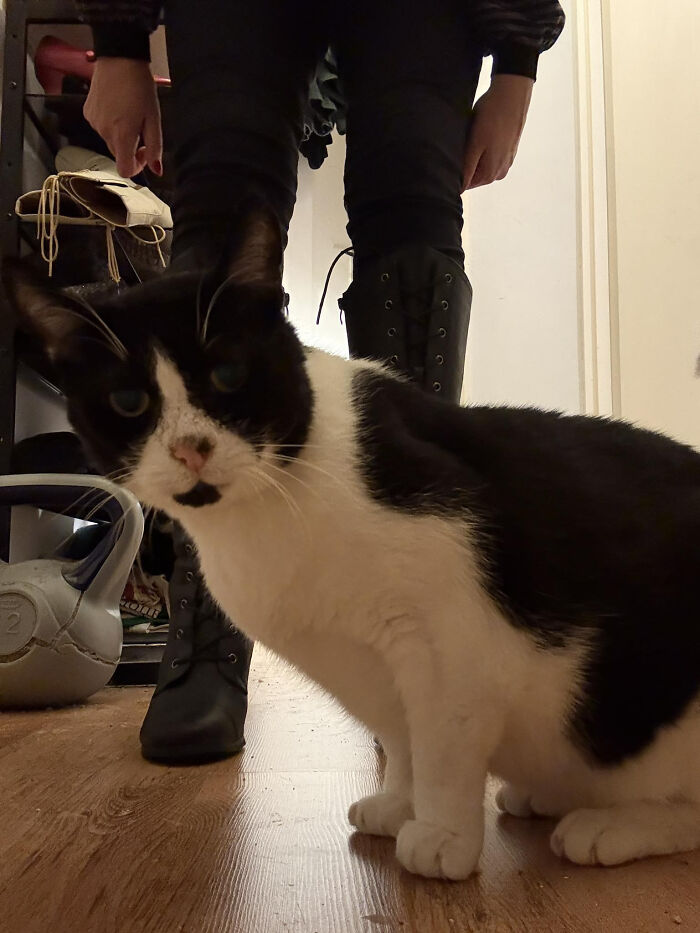 82 Unhinged Vinted Posts That Had People Doing A Second Take