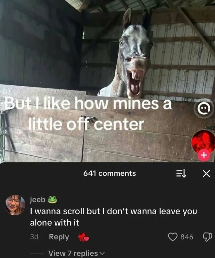 120 Animal Memes That Help People Forget Heavy Thoughts