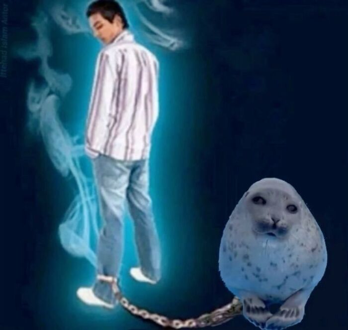 120 Animal Memes That Help People Forget Heavy Thoughts