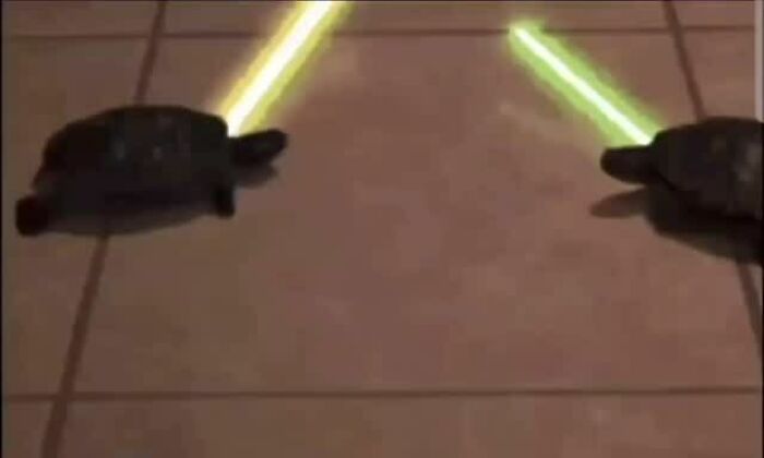 120 Animal Memes That Help People Forget Heavy Thoughts