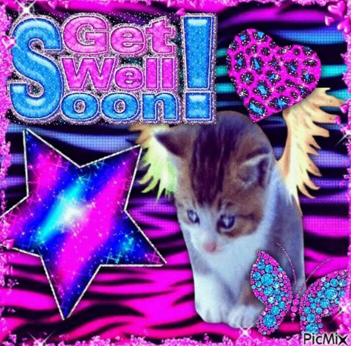 120 Animal Memes That Help People Forget Heavy Thoughts