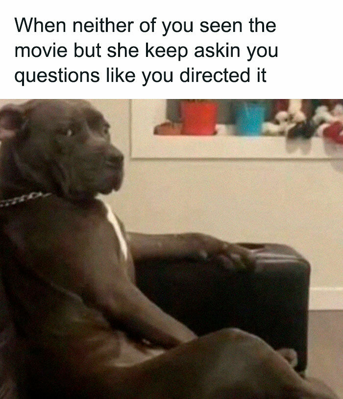 77 Memes That Have No Reason To Be This Funny