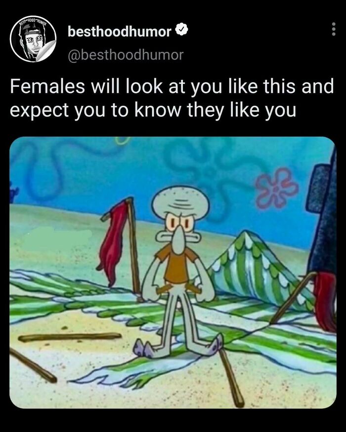 77 Memes That Have No Reason To Be This Funny