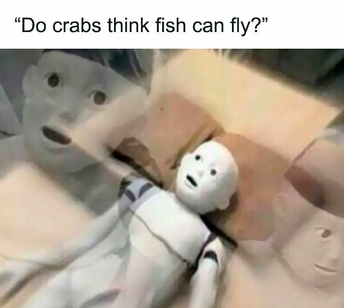 77 Memes That Have No Reason To Be This Funny