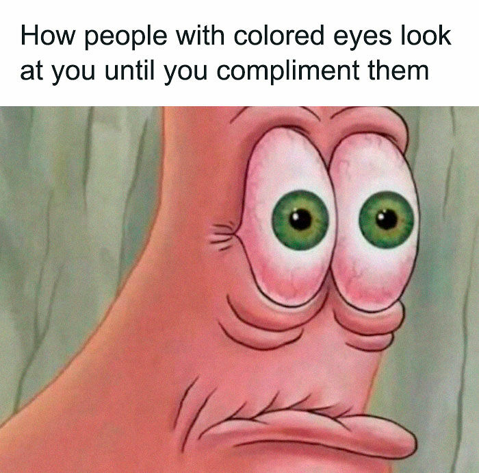 77 Memes That Have No Reason To Be This Funny