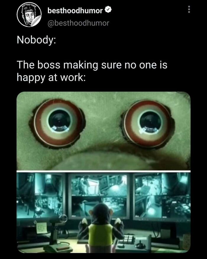 77 Memes That Have No Reason To Be This Funny