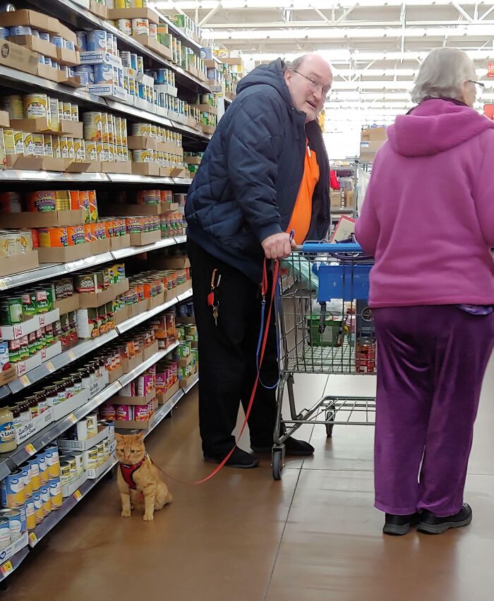 47 “Walmart People” Pics That Are As Funny As They Are Confusing