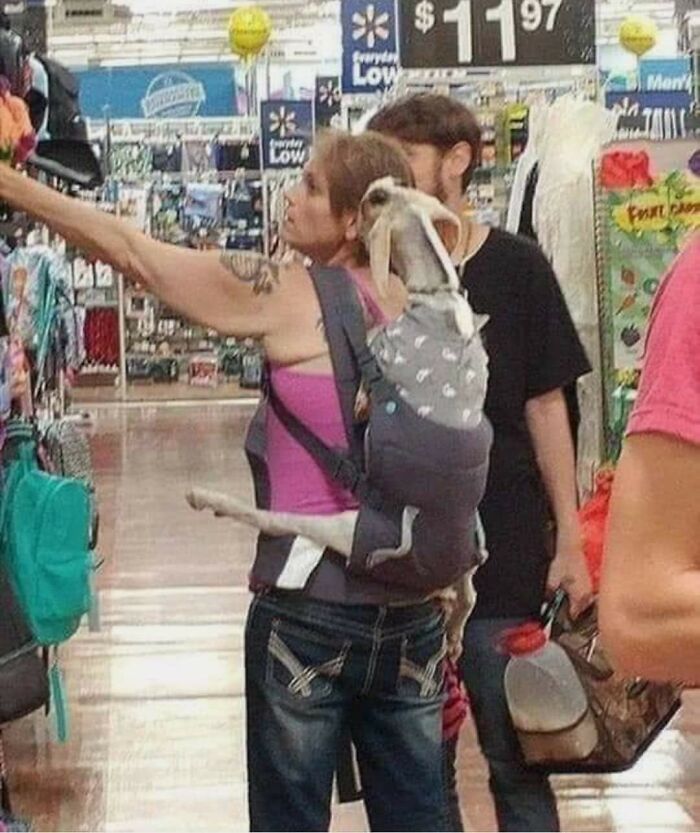 47 “Walmart People” Pics That Are As Funny As They Are Confusing