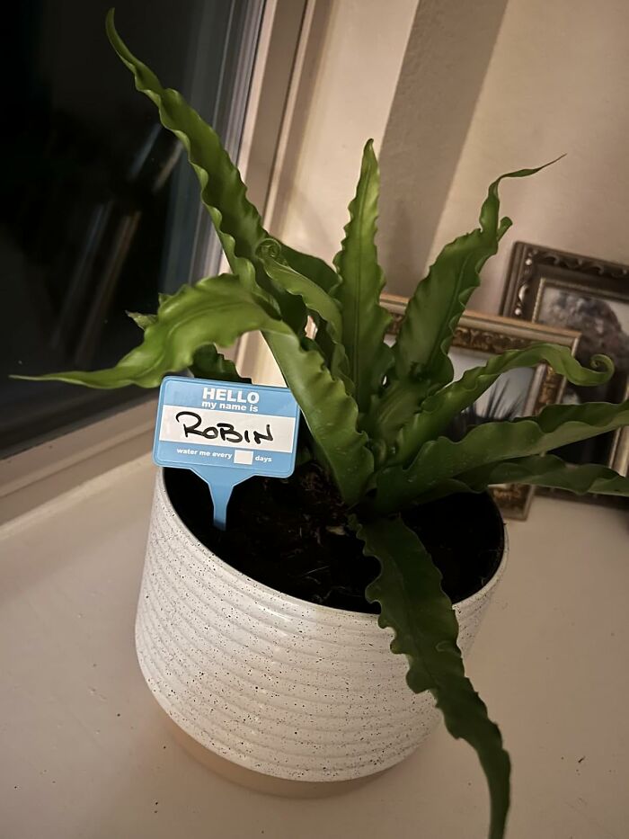 24 Last-Minute White Elephant Gifts You Might Struggle To Let Go Of 24 Last-Minute White Elephant Gifts You Might Struggle To Let Go Of