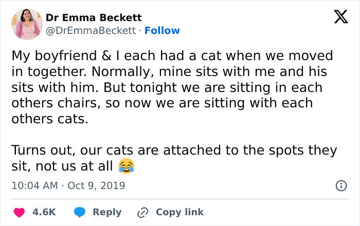 50 Times Cats Were “Weird Little Guys” And Got Featured On This Popular IG Account (New Pics) 50 Times Cats Were “Weird Little Guys” And Got Featured On This Popular IG Account (New Pics)