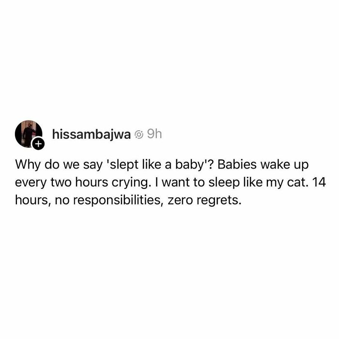 50 Times Cats Were “Weird Little Guys” And Got Featured On This Popular IG Account (New Pics) 50 Times Cats Were “Weird Little Guys” And Got Featured On This Popular IG Account (New Pics)