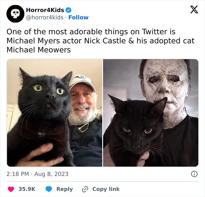 50 Times Cats Were “Weird Little Guys” And Got Featured On This Popular IG Account (New Pics) 50 Times Cats Were “Weird Little Guys” And Got Featured On This Popular IG Account (New Pics)