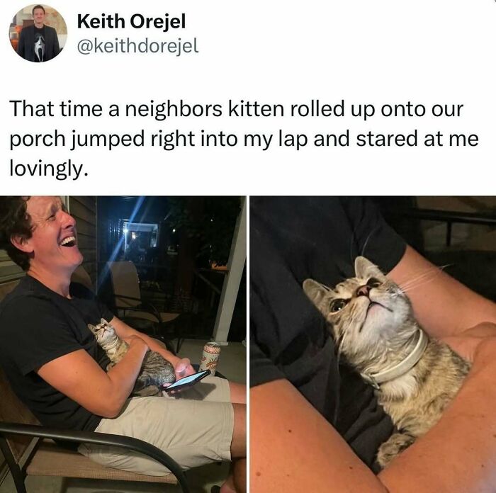 50 Times Cats Were “Weird Little Guys” And Got Featured On This Popular IG Account (New Pics) 50 Times Cats Were “Weird Little Guys” And Got Featured On This Popular IG Account (New Pics)