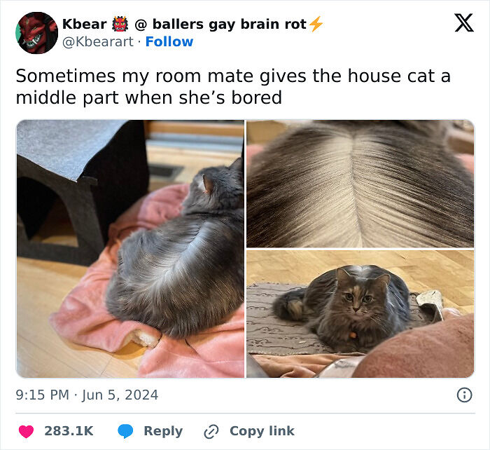 50 Times Cats Were “Weird Little Guys” And Got Featured On This Popular IG Account (New Pics) 50 Times Cats Were “Weird Little Guys” And Got Featured On This Popular IG Account (New Pics)