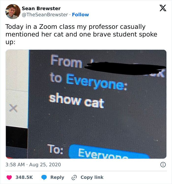 50 Times Cats Were “Weird Little Guys” And Got Featured On This Popular IG Account (New Pics) 50 Times Cats Were “Weird Little Guys” And Got Featured On This Popular IG Account (New Pics)