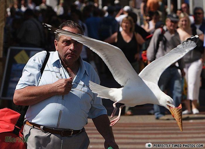 “Perfectly Timed Photos”: 50 Times People Snapped Photographs Just At The Right Moment