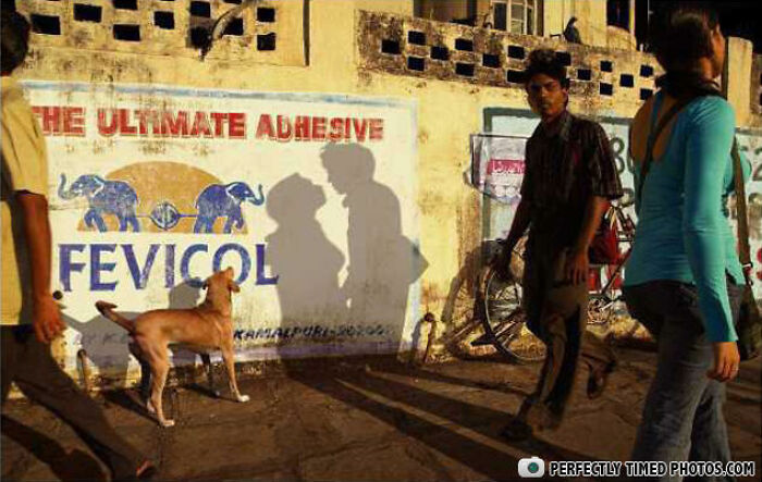 “Perfectly Timed Photos”: 50 Times People Snapped Photographs Just At The Right Moment