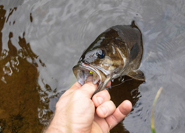 &ldquo;The Smell Never Really Left The Car&rdquo;: 30 Times People Got Wronged And Delivered Justice Themselves