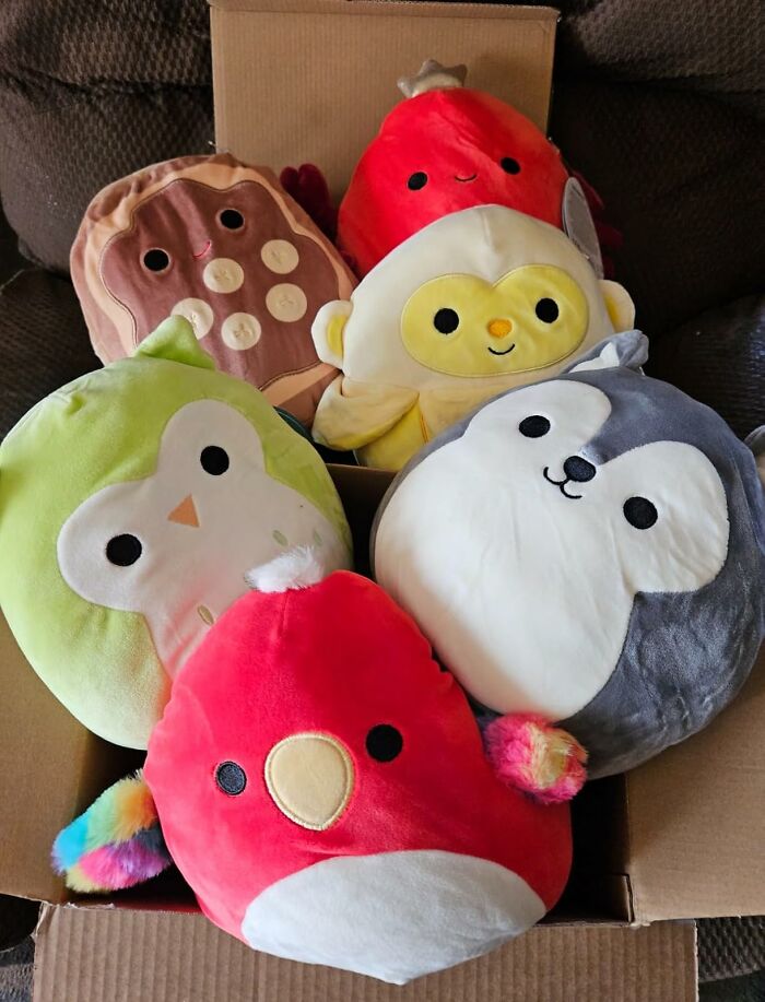 12 Blind Boxes That Turn Christmas Morning Into A High Stakes Game Of Chance